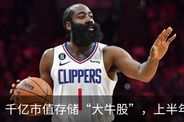 千亿市值存储“大牛股”，上半年营收增近300%，赚超70亿元！股价年内涨近一倍